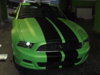 /album/galeria-de-fotos-pagina-inicial/mustang-verde-1-jpg/